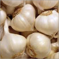 Organic Garlic