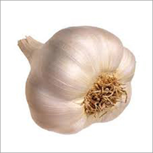 Whole Garlic