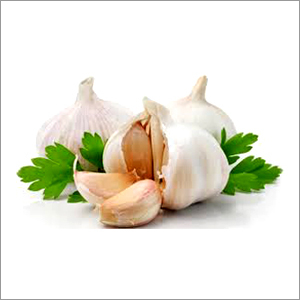 Indian Garlic