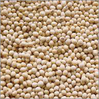 Organic Soybean