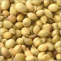 Coriander Seed