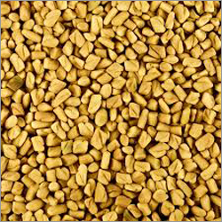 Whole Coriander Seeds