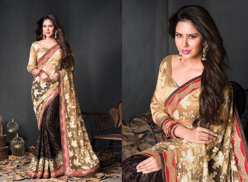 Georgette Brasso+Net Brassodesigner saree