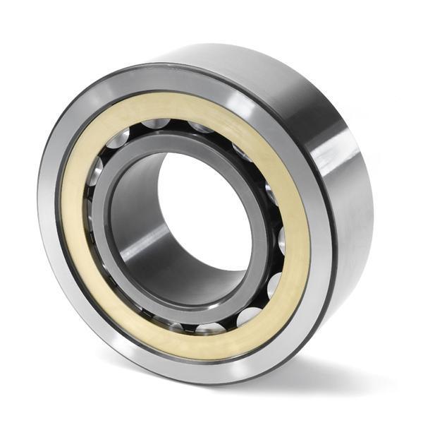 Chevrolate Bearing 