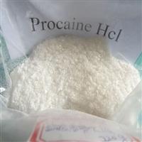 Procaine Hydrochloride