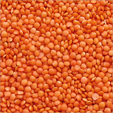 Dal