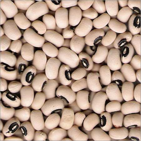 Pulses