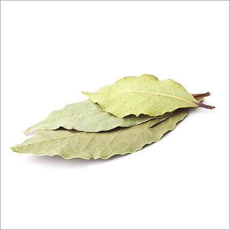 Bay Leaves