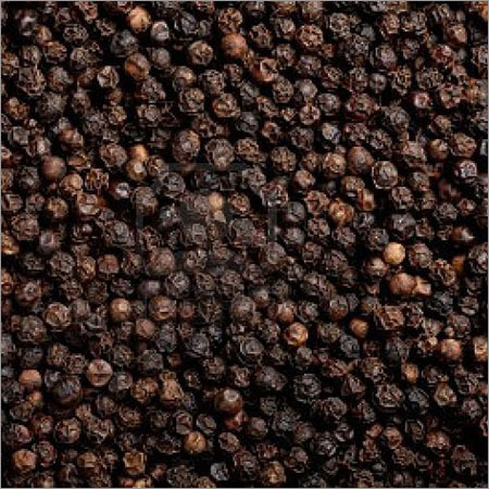 Black Pepper Seeds