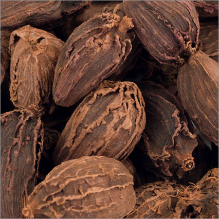 Black Cardamom Black Elachi
