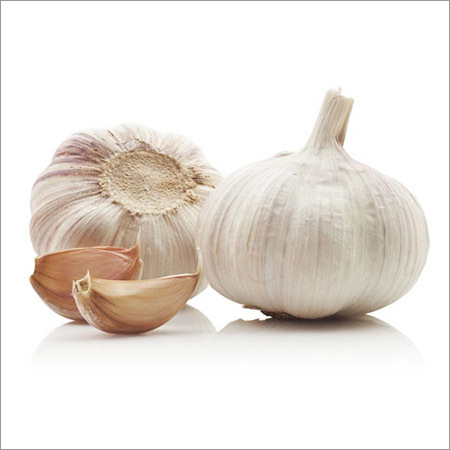 Garlic