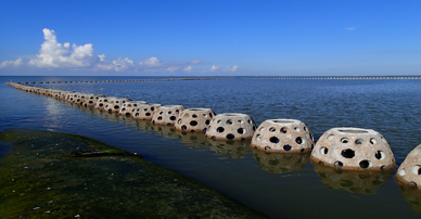 Break Water Construction