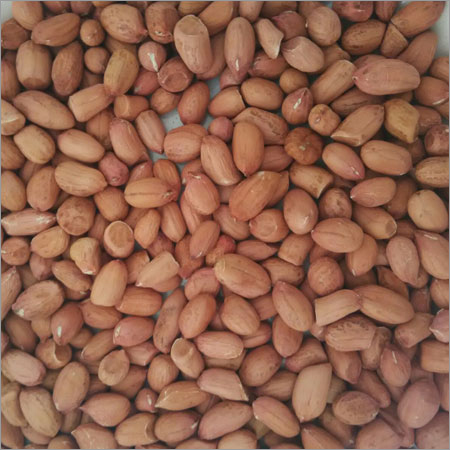 Indian Bold Peanut Indian Bold Peanut
