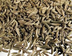 KUMMEL EDIBLECUMIN SEED