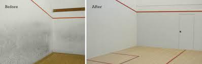 Squash Court Repair / Renovation