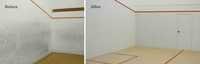 Squash Court Repair And Renovation Services