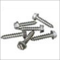 SS Screws