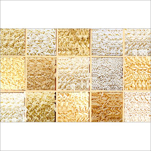 Rice