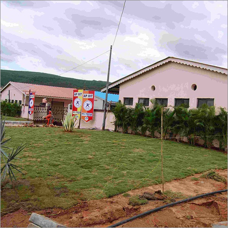 Rajiv Gandhi University of Knowledge Technologies (RGUKT) Campus