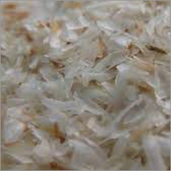 Psyllium Husk / Isabgol