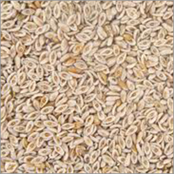 Organic Psyllium Husk