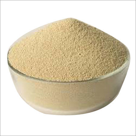 Soya Bean Meal 48% Protein