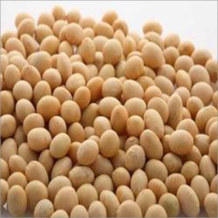 Soya Bean Meal 46% Protein