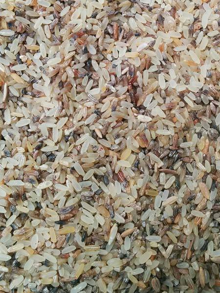 Brown Rejection Rice