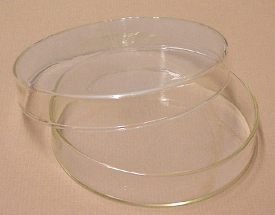 Dishes Culture Petri with Borosilicate Glass