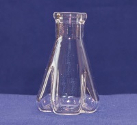 Trypsinizing Flasks Culture Flasks