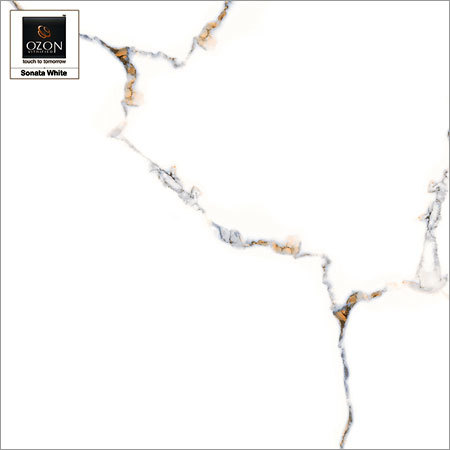 Ceramic Vitrified Tiles