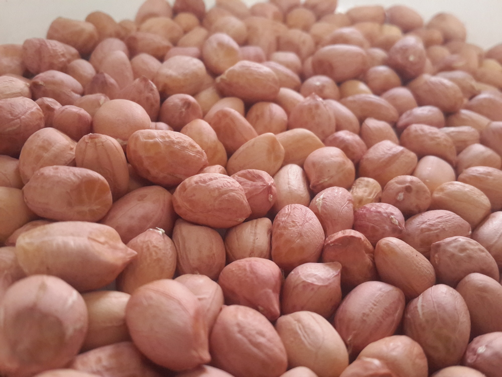Raw Java Peanuts
