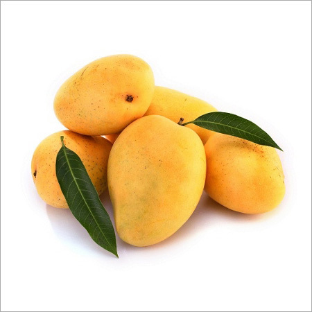 Mango Fruits