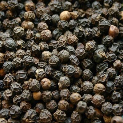 Black Pepper Black Pepper