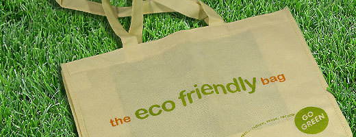 Eco-Friendly Shopping Bags