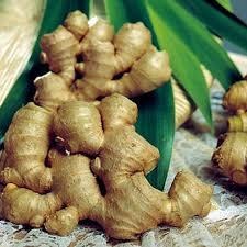 Ginger Oil