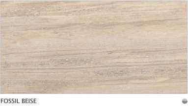 Fossil Beige Vitrified Tiles