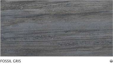 Fossil Gris Vitrified Tiles