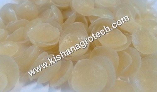 Circle Papad