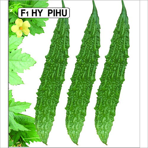 Pihu Seeds
