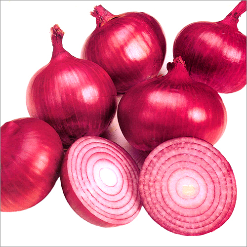 Onion
