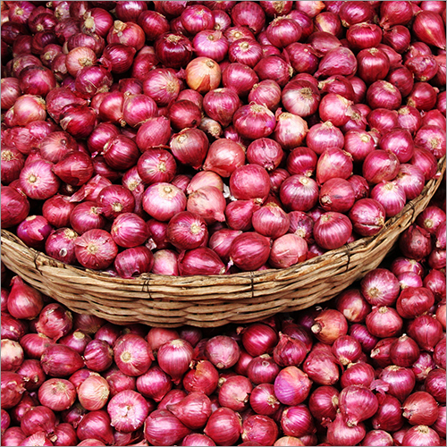 Onion