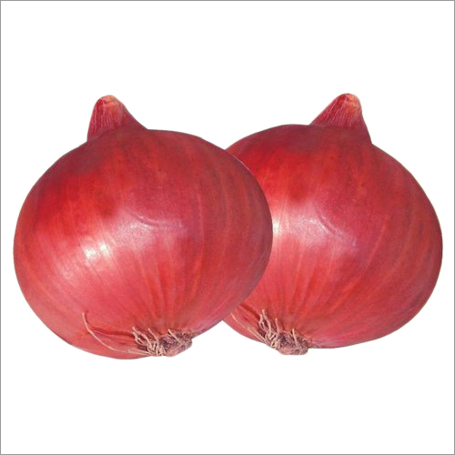 Nasik Red Onion
