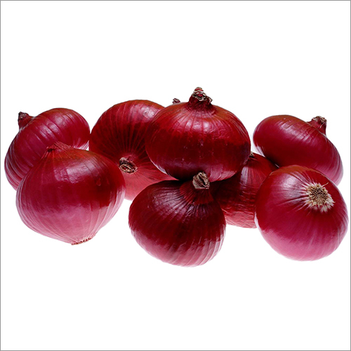 Fresh Red Onion