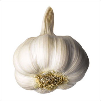 Indian Garlic