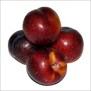 Plums