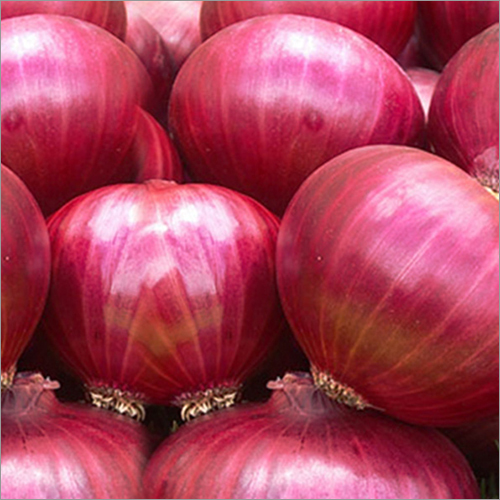 Nasik Red Onionjpg