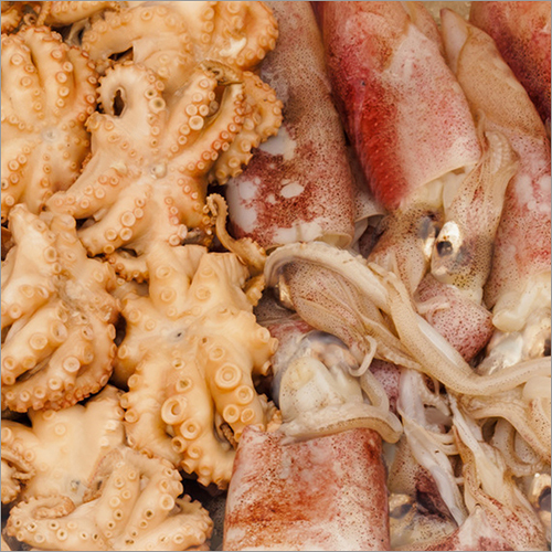 Food Grade Non Phosphate for Cephalopod
