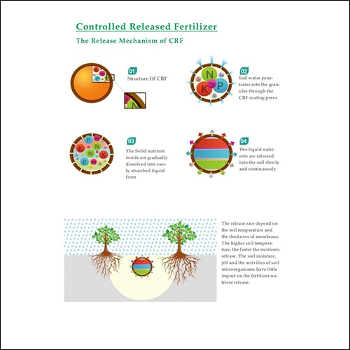 Controlled Released Fertilizer