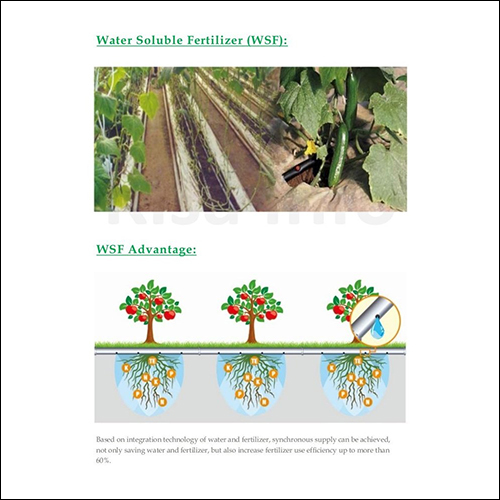 Water Soluble Fertilizer (WSF)